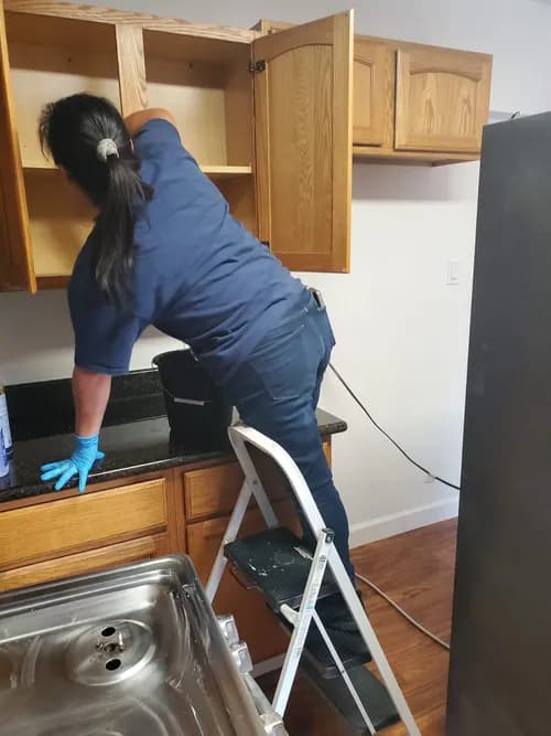 Fairy Dust Cleaning - Photo 4