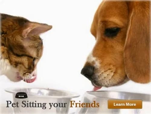 FairyDust Services, Inc.