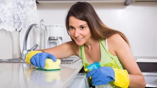 Family Cleaning Services - Photo 2