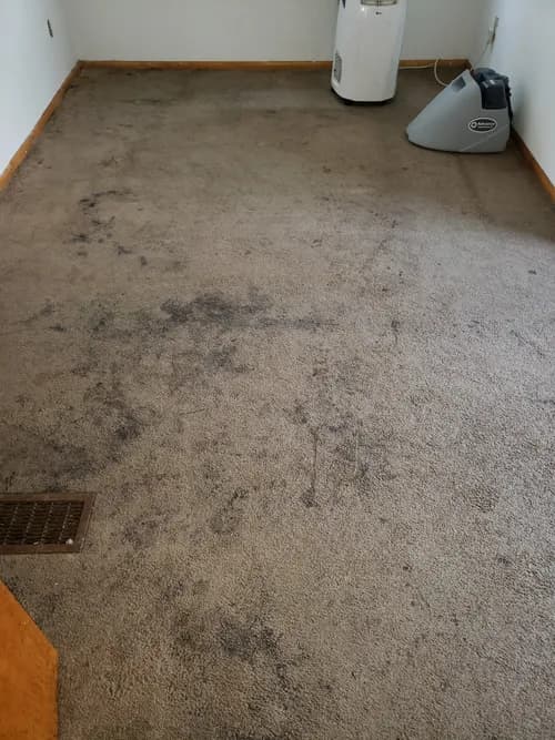 FERGUSON SERVICES Milwaukee/ Chicago