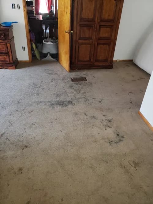 FERGUSON SERVICES Milwaukee/ Chicago - Photo 2