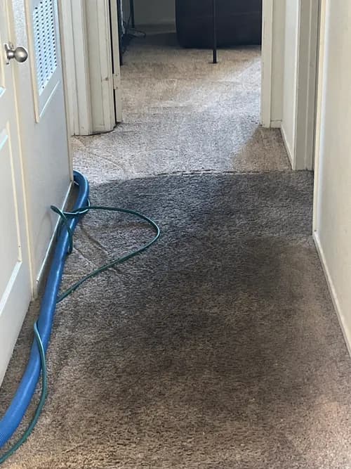 Fifth Labor Cleaning Services - Photo 4