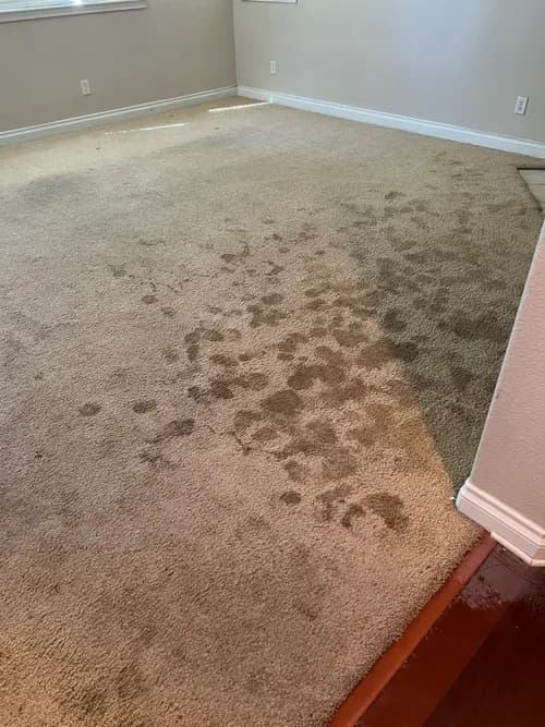 Fifth Labor Cleaning Services - Photo 2