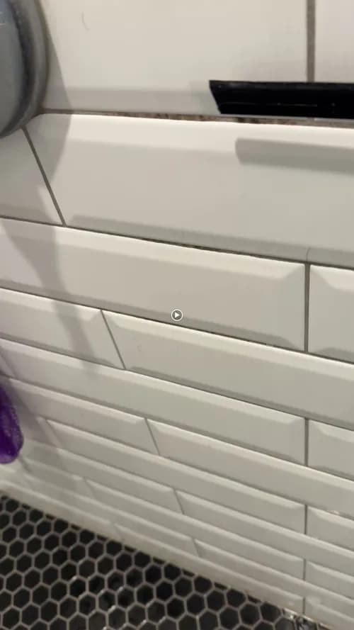 Fiorita Cleaning - Photo 3