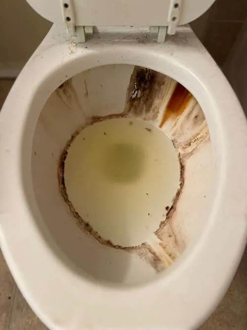 First Coast Cleaning Service - Photo 2