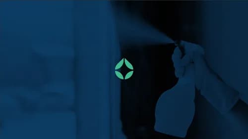 Freshe Cleaning Services - Photo 1