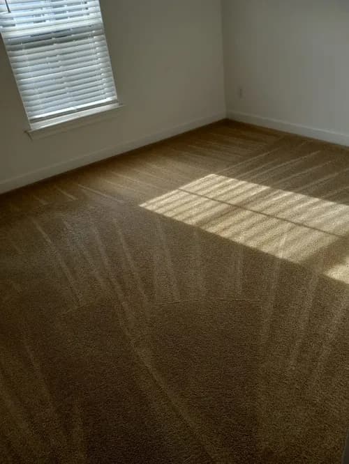 Galvan Cleaning - Photo 5