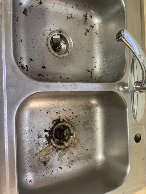 Garcia’s Cleaning, LLC - Photo 3