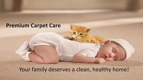 Gemini Carpet Cleaning - Photo 5