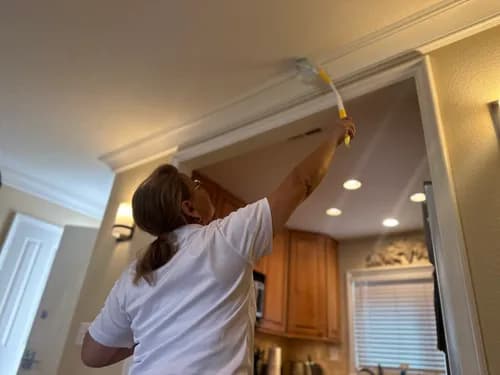 Germicidal Maids House Cleaning