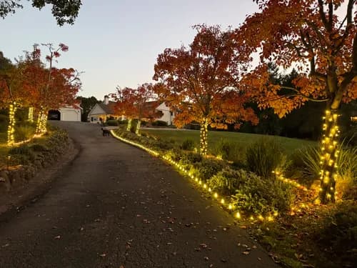 GGG HOME SERVICES - Photo 2