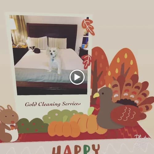 Gold Cleaning Services LLC. - Photo 2