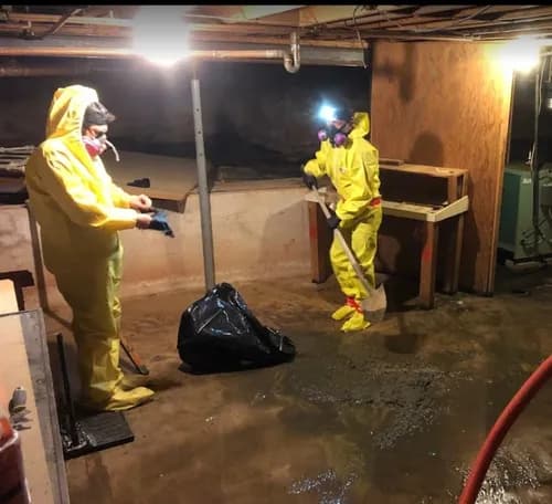 Golden Touch Commercial and Residential Cleaning Service LLC