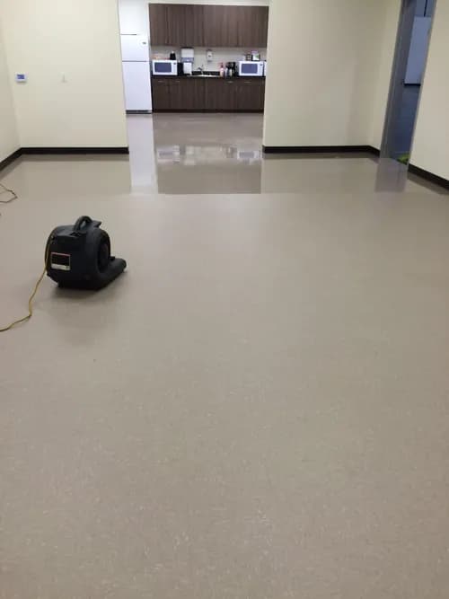 Gonzalez cleaning service