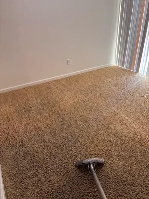 Grand Slam Carpet Care - Photo 2