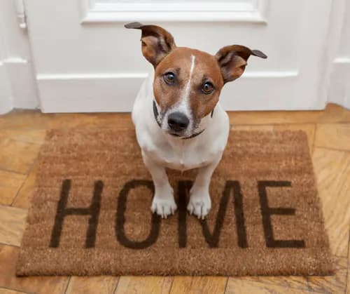 Green Angel Cleaning - Photo 1