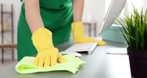 Green Cleaning Pros Inc.