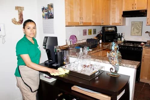 Green Duster Cleaning Services - Photo 1