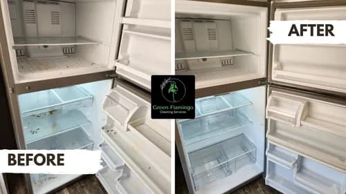 Green Flamingo Cleaning Services LLC - Photo 2