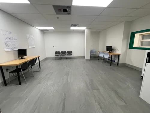 Green Maids Of Detroit