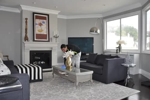 GreenTerra Cleaning Service - Photo 2