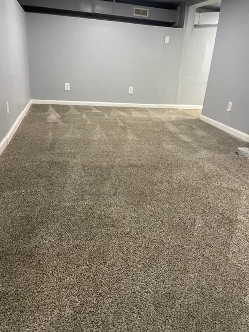 Grime Busters 208 Carpet&Floor Cleaning - Photo 2