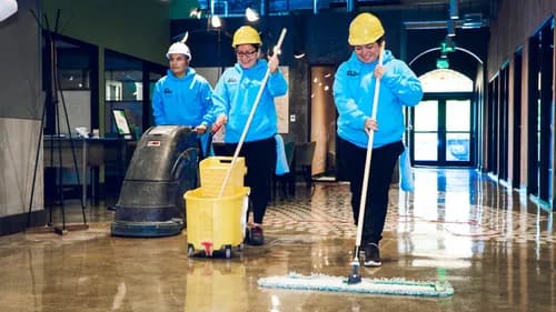 Guzman Pro Cleaning