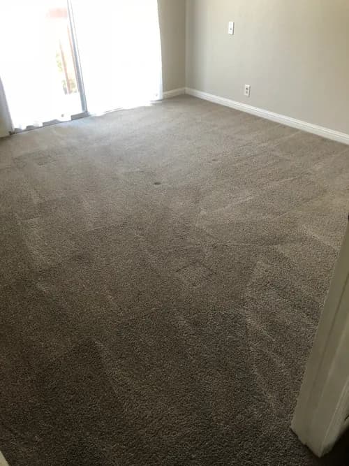 Haro Carpet Cleaning - Photo 4