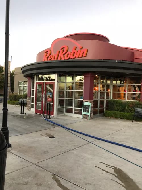 Haro Carpet Cleaning - Photo 3