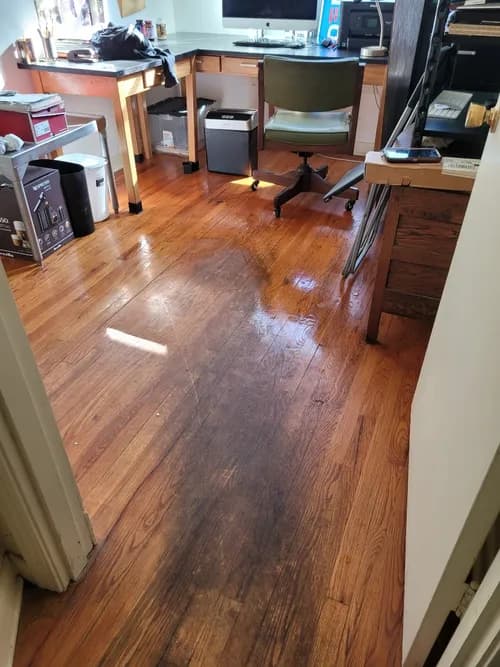 Help My Life Cleaning Services LLC - Photo 2