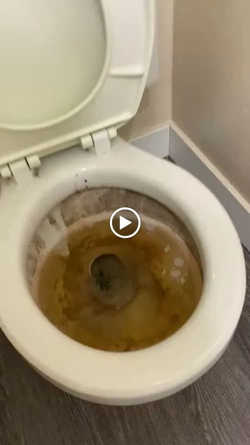 Herlinda House Cleaning - Photo 2