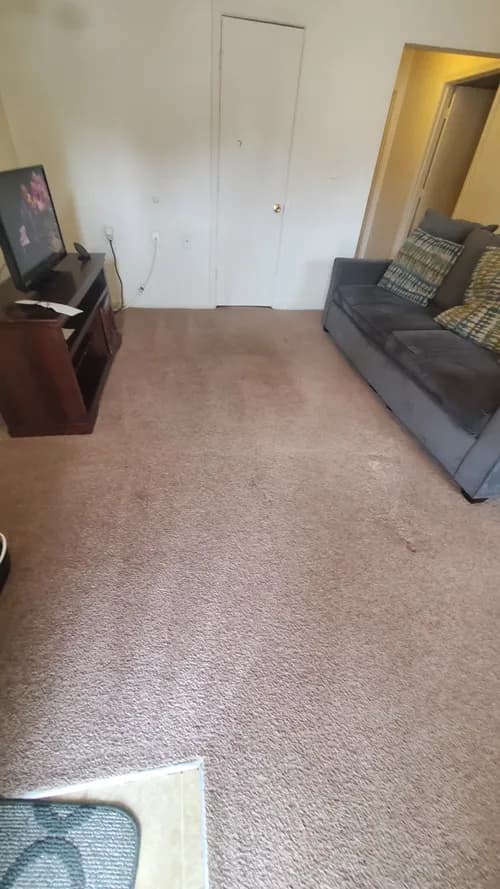 His Majesty Carpet Service - Photo 4