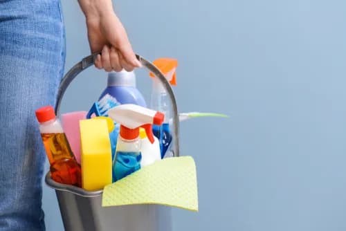 Home and Business Cleaning