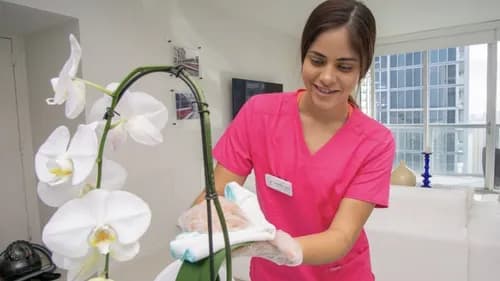 HomeClean Cleaning Services NYC