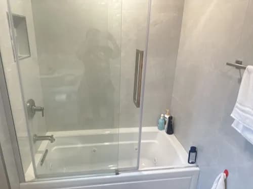 House Cleaning Move Out and Carpet Cleaning Service by Solve Cleaning - Sunnyvale - Photo 2