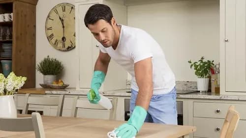 HouseBoy Housekeeping Services, Inc