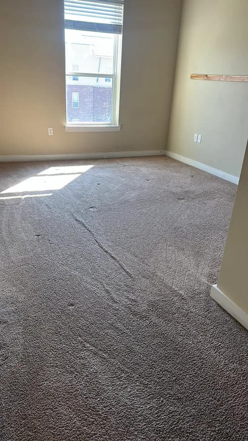 Ingrid Cleaning Solution Llc - Photo 2