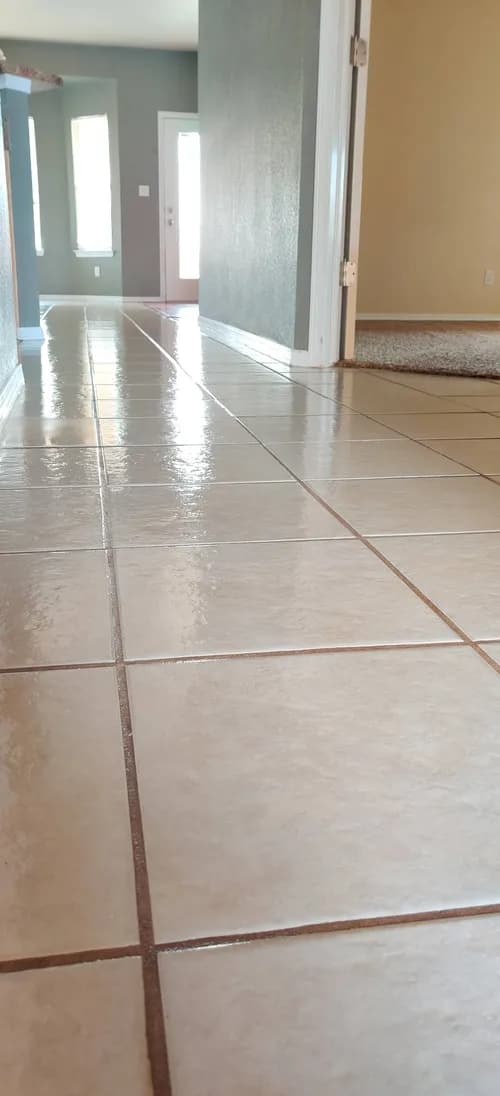 Intrepid Carpet Cleaners - Photo 2