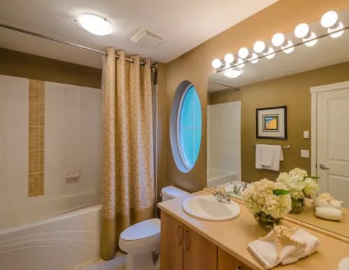 iQ Home Care - Washington DC - Photo 3