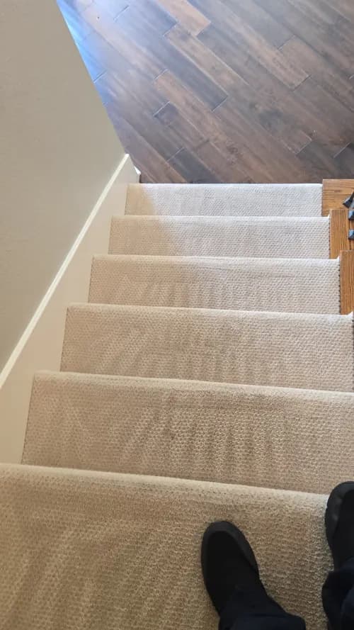 It's Cleaning Time - Photo 3