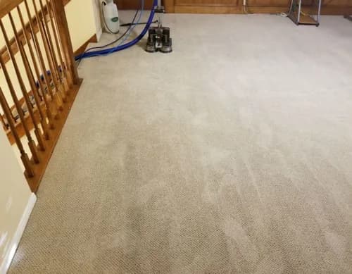 J&J Expert Carpet and Upholstery Cleaning, LLC - Photo 5