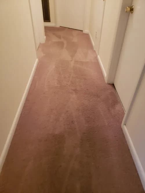 J.R. Residential Cleaning Services - Photo 2