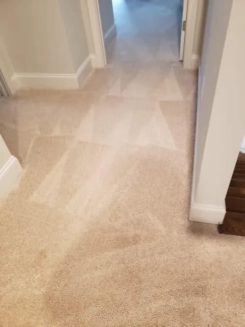 J.R. Residential Cleaning Services