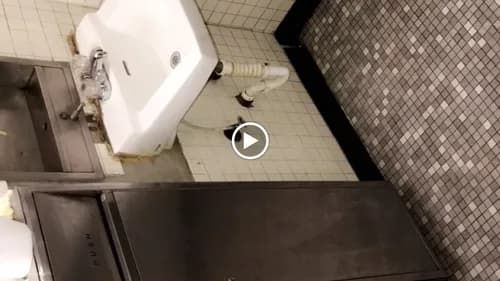 Jacckis Cleaning Service - Photo 3