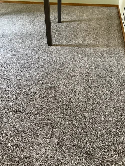 James Bond Carpet Cleaning - Photo 5