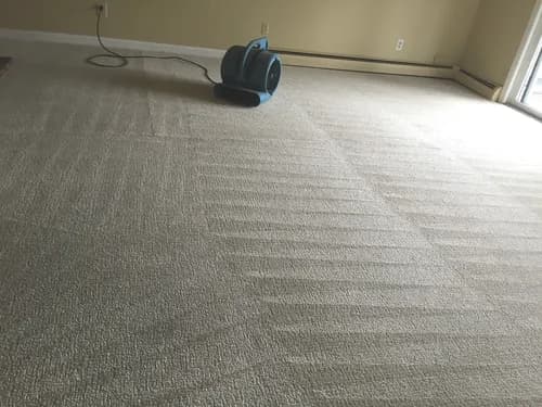 James Bond Carpet Cleaning - Photo 1