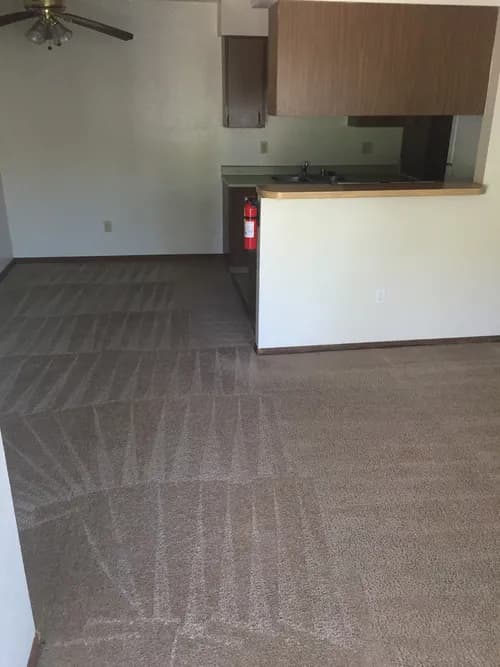 James Bond Carpet Cleaning - Photo 2