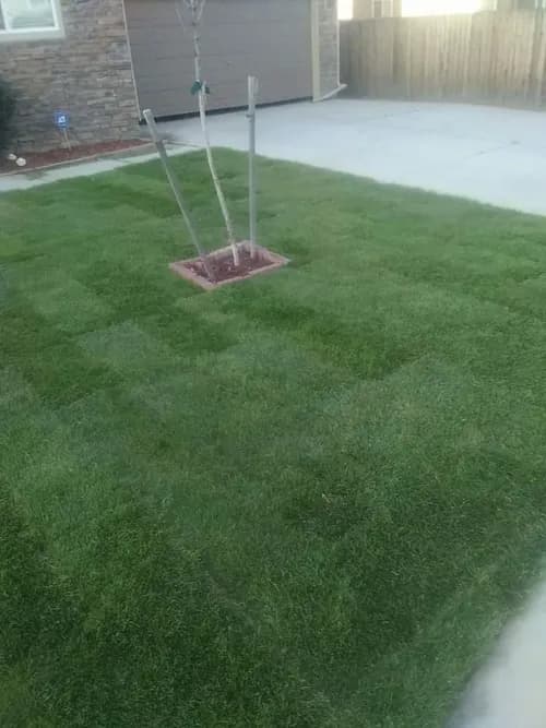 Jason's landscaping and cleaning services