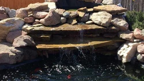 Jason's landscaping and cleaning services - Photo 2