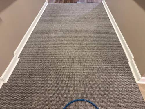Jones Carpet Care LLC